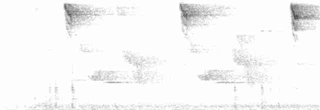 Серогрудый дромник - ML25510521