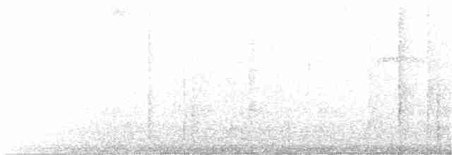 Мурашниця жовтогруда - ML25510631