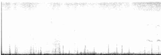 Kuliska hankahori handia/txikia - ML255113471