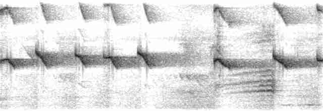 Кратеропа жовтодзьоба - ML255117321