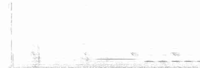 Rufous-and-white Wren - ML255153181
