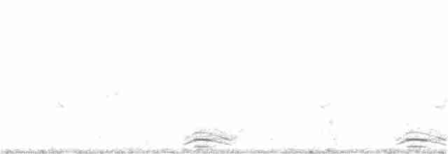 黃小鷺 - ML255205111