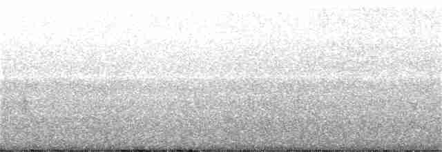 Peruvian Meadowlark - ML255236761