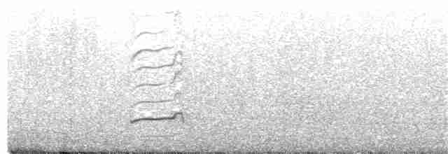 Перепончатопалый улит - ML255243641