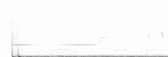 Little Grassbird - ML255251111