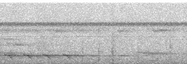 Gri Ayaklı Tinamu - ML255328