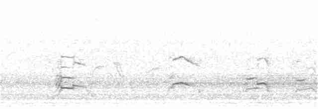Делавэрская чайка - ML25535031