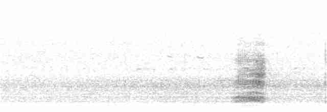 Cuervo Grande - ML25535221