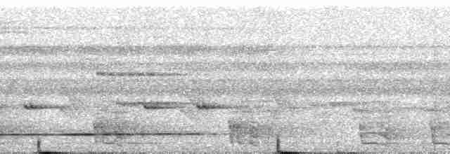 Gray-legged Tinamou - ML255383