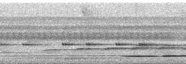 Gray-legged Tinamou - ML255385