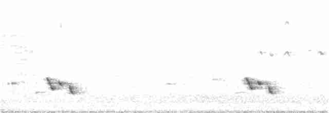 Çizgili Panterkuşu - ML255385011