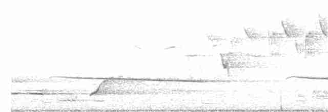 Black-eared Cuckoo - ML255406681
