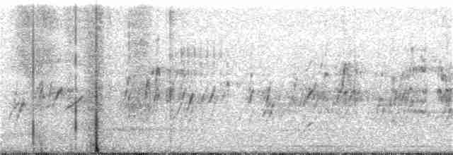 סנונית רפתות - ML255449231