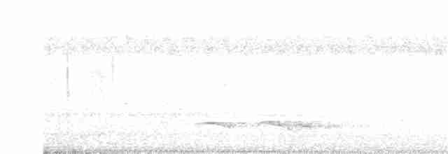 Зозуля білогорла - ML255501561