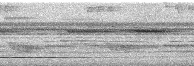 Gray-legged Tinamou - ML255581