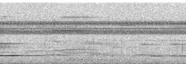 Gray-legged Tinamou - ML255586