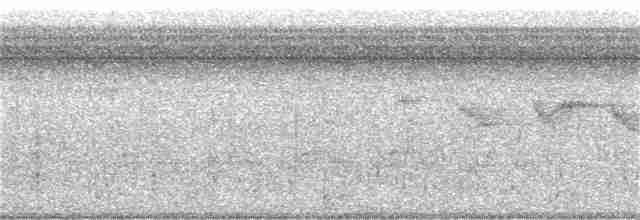 Трясогузковый певун - ML255589211
