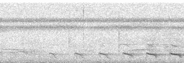 trogon zelenohřbetý - ML255595