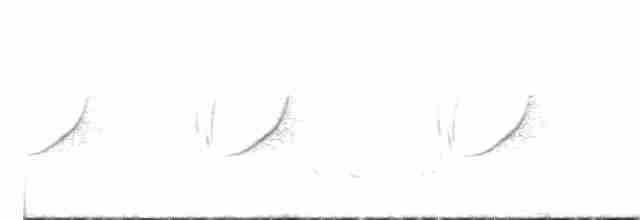 langhaleskredderfugl - ML255620821