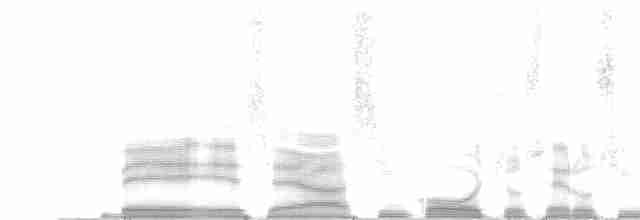 シロオビツバメ - ML255628