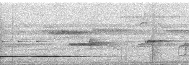 Gray-legged Tinamou - ML255649