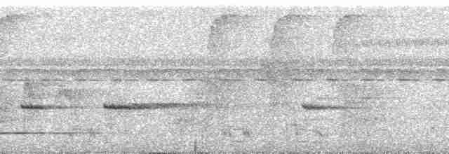 Gray-legged Tinamou - ML255654