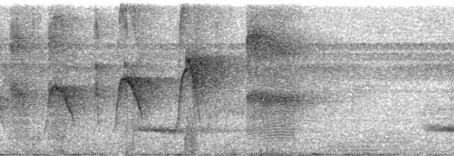 Gray-legged Tinamou - ML255662