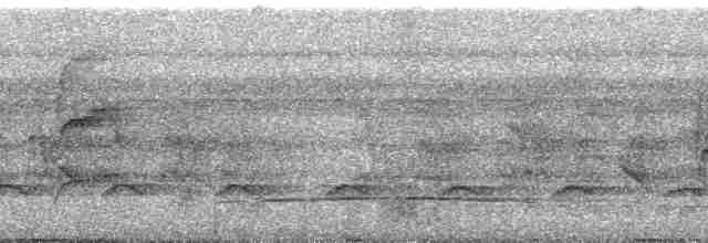 オウム目（インコ科 小さな種） - ML255731