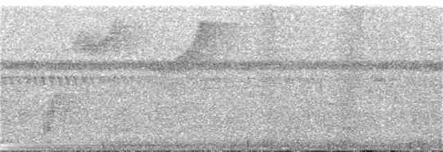 kolibřík bronzovoocasý - ML255735941