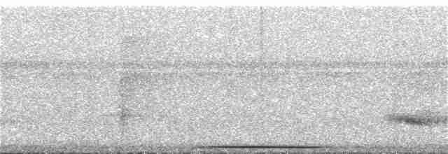 holub šedočelý - ML255755101