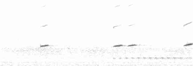 Fleckenpanthervogel - ML255839361