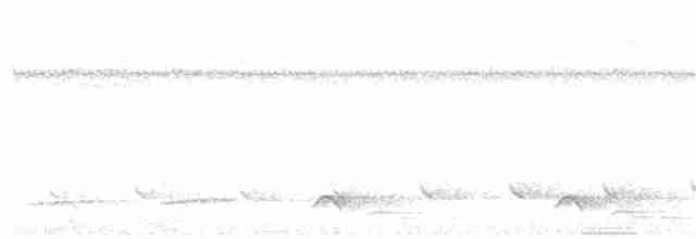 Arborófila Cariblanca - ML255861211