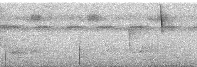 Пестрогорлый алапи (pyrrhonota) - ML255944