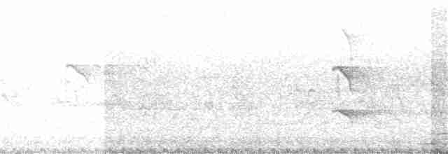 Woodland Kingfisher - ML255960161