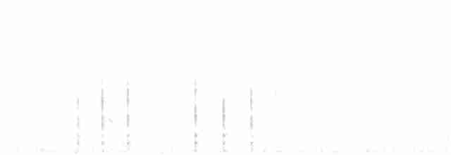 Пестроголовый дятел - ML255968761
