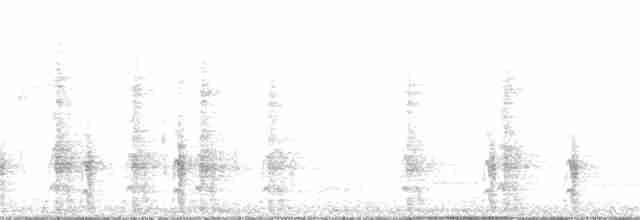 Арауканская чачалака - ML256115631