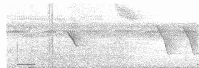 holoubek šedomodrý - ML256122181