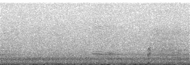 Cuervo Pescador - ML256143801