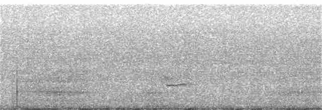 Каролинский крапивник - ML256144491