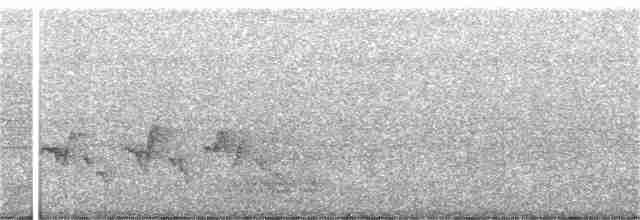 Поплітник каролінський - ML256144511