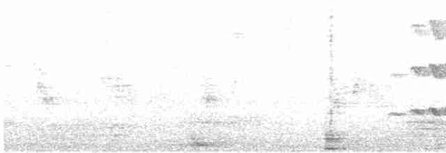 Alción de Esmirna - ML256185381