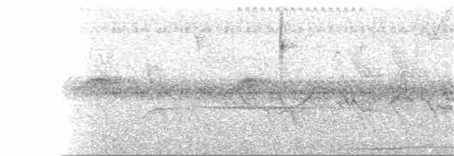 Декол плямистоволий - ML256262041