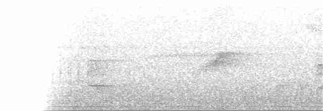 White-necked Thrush - ML256263551