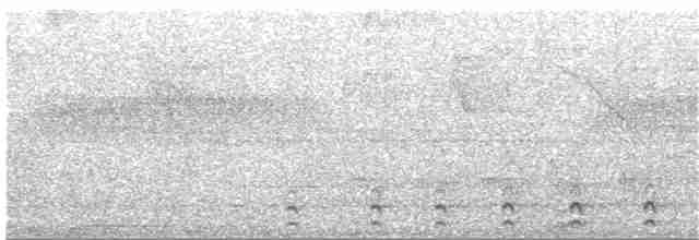 オジロキヌバネドリ（surrucura） - ML256271601