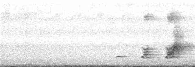 Crested Bobwhite - ML256280181