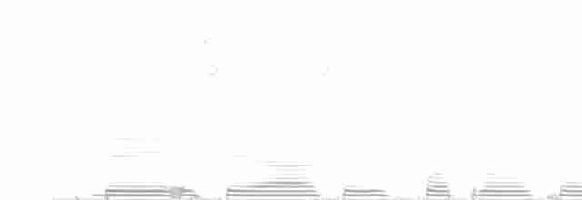 Carouge montagnard - ML256304