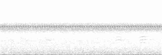 Rotbrustkleiber - ML256341201