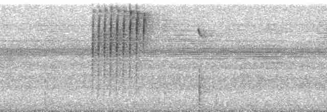 Пестрогорлый алапи (pyrrhonota) - ML256379