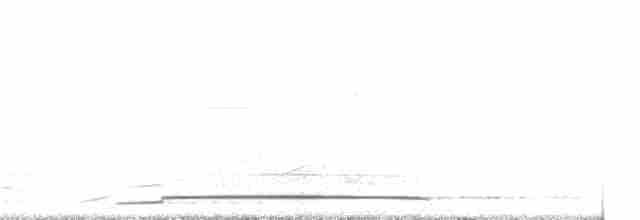 Гагара полярна - ML256545361