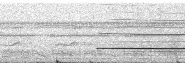 Канюк-крабоїд великий - ML256552